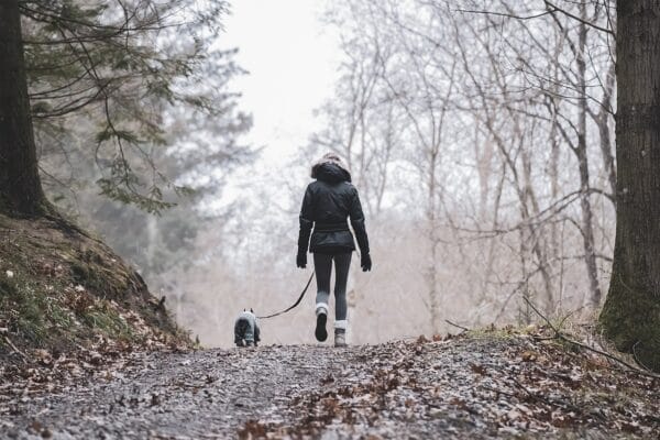 collar activated dog feeder